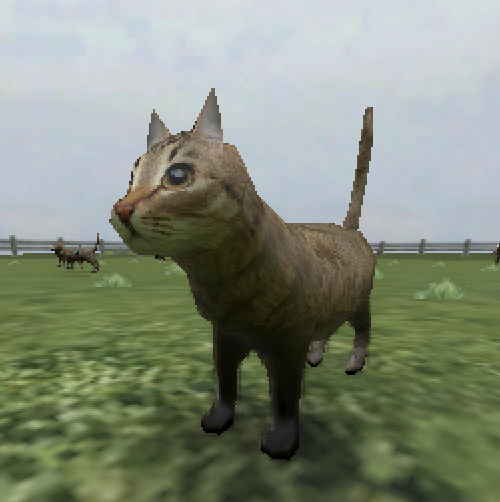 Crazy Cat 3D